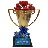 "TROFEO PARA EL MEJOR PADRE"