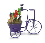 Grifo con Flores de Gominolas