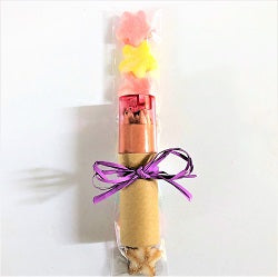 ESTUCHE Y GOMINOLAS