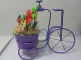 Grifo con Flores de Gominolas