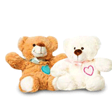 Árbol para Él con peluche y globo