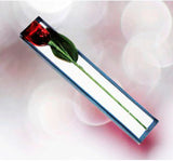 "ROSA BOMBÓN CAJITA ESTUCHE"